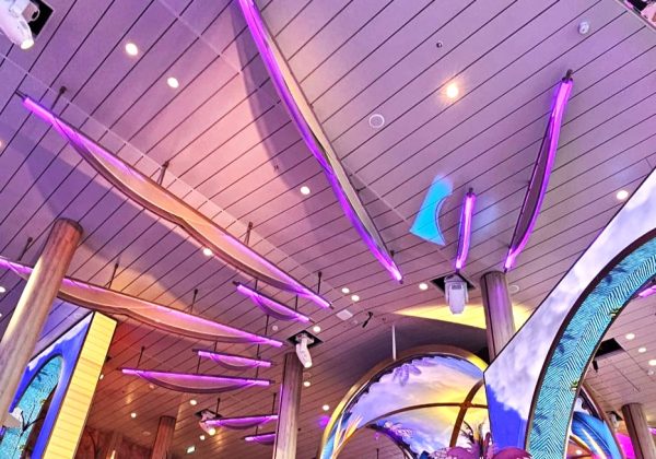 ARMAX WEBSITE - XCEL - BAZAR TACOS - HD - 2